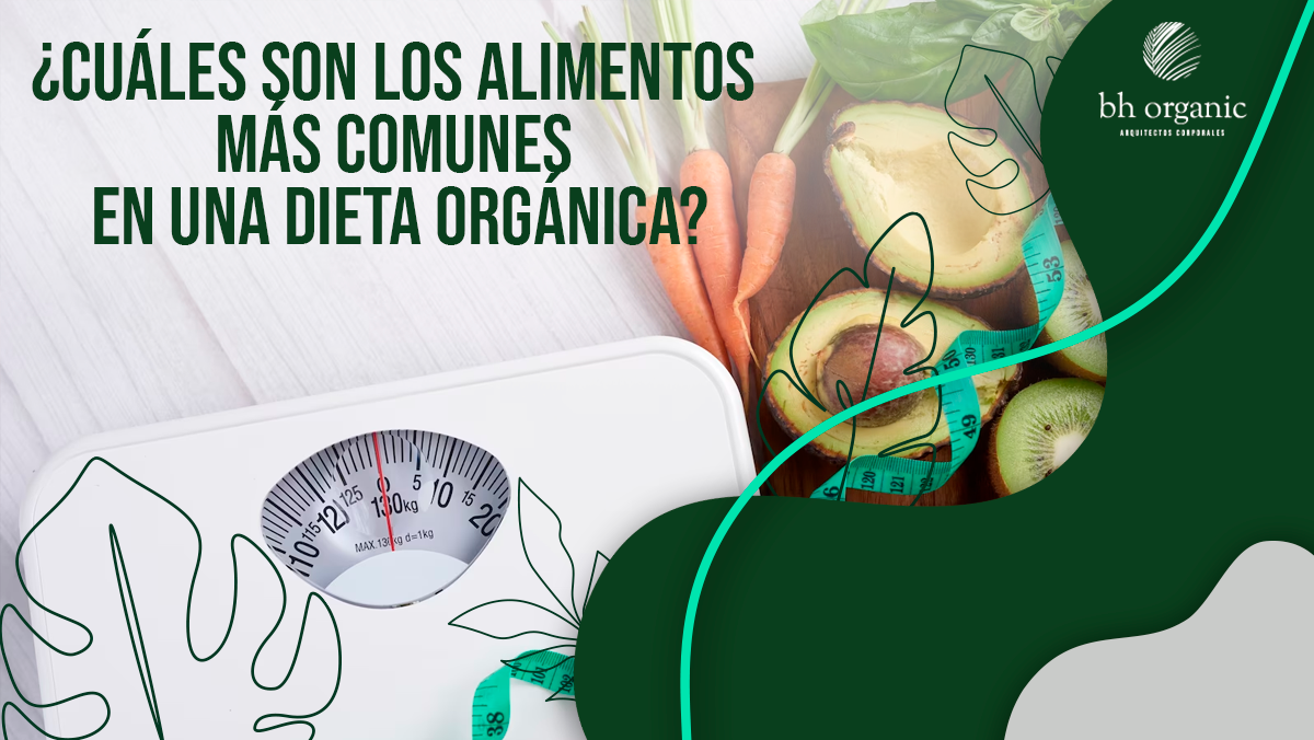 ¿Cuáles son los alimentos más comunes en una dieta orgánica?