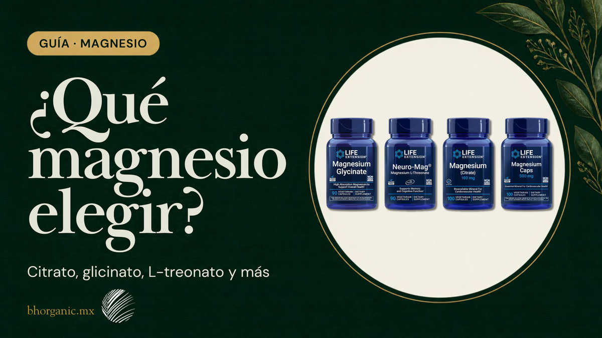 Tipos de magnesio: cuál elegir y en qué se diferencian