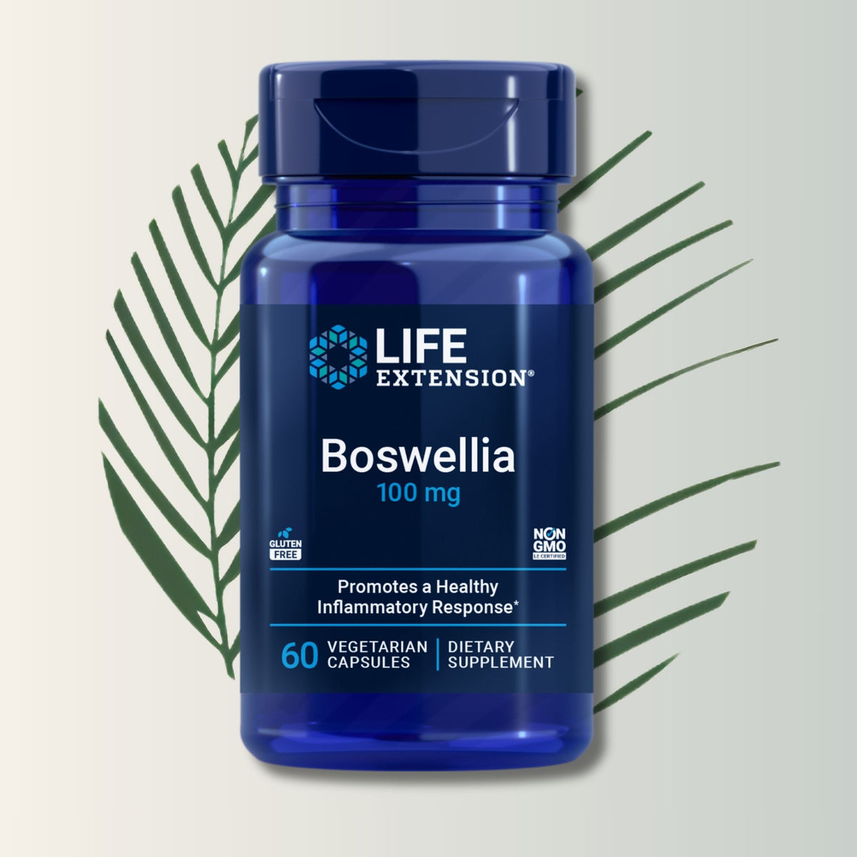 Boswellia Life Extension - 60 Cápsulas Vegetarianas | Bienestar Articular | bhorganic