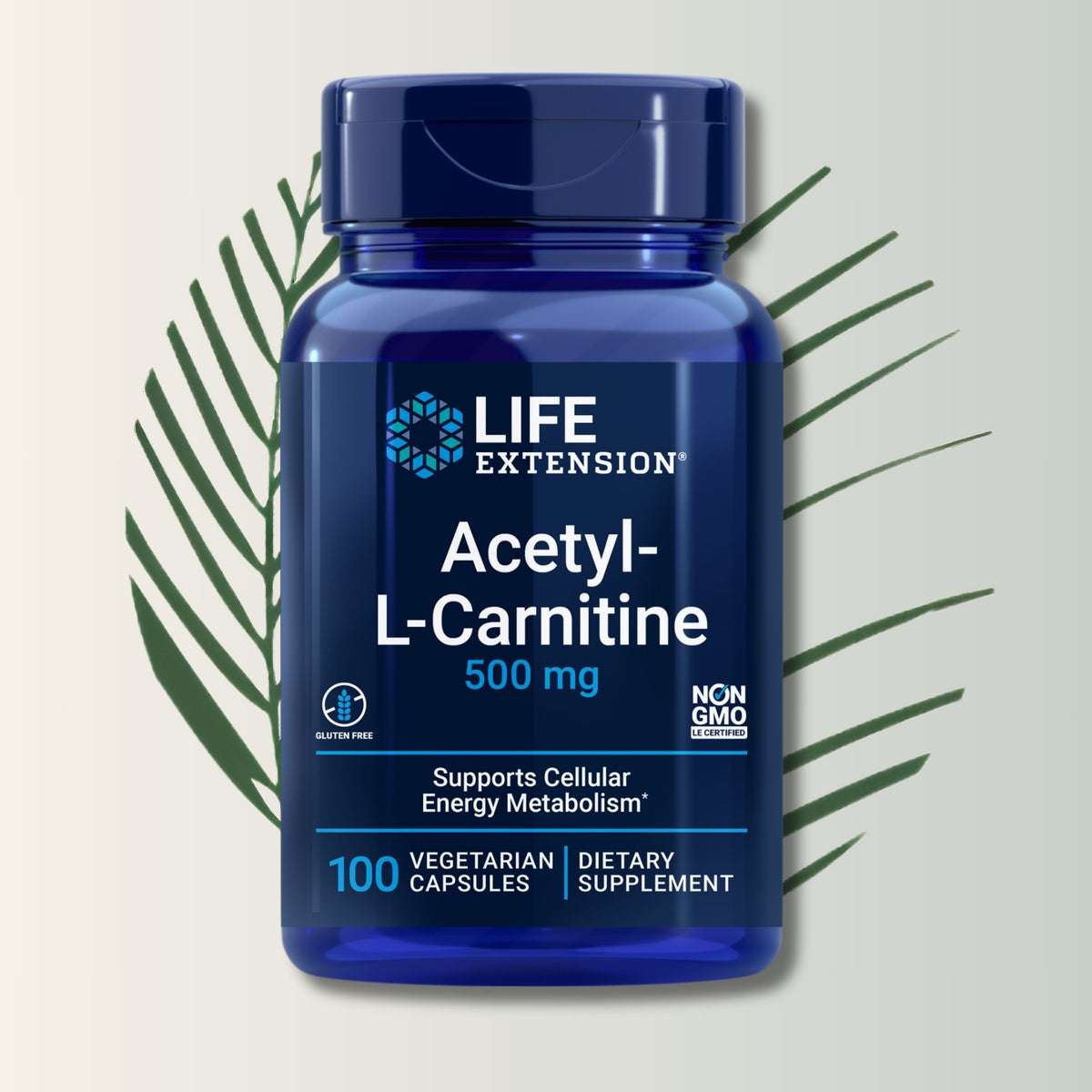 Acetyl L-Carnitine 500mg Life Extension - 100 Cápsulas Vegetales | Energía Mental | Función Cognitiva | bhorganic