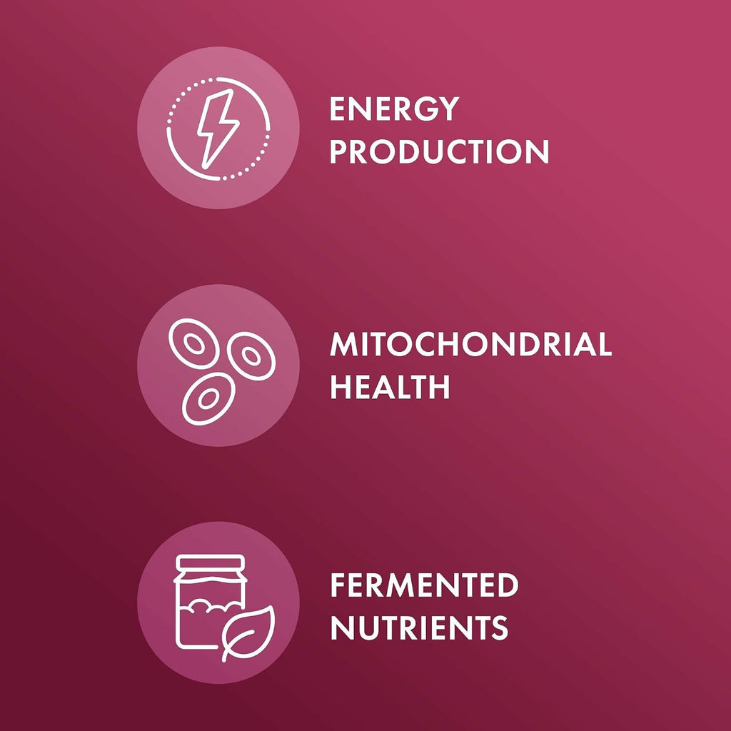 Betabel Fermentado Orgánico Dr. Mercola - 60 Cápsulas | Energía y Vitalidad | bhorganic