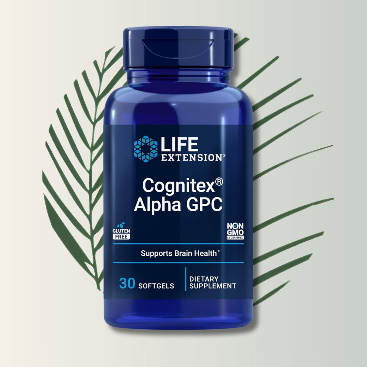 Cognitex Alpha GPC, 30 Softgels | Life Extension