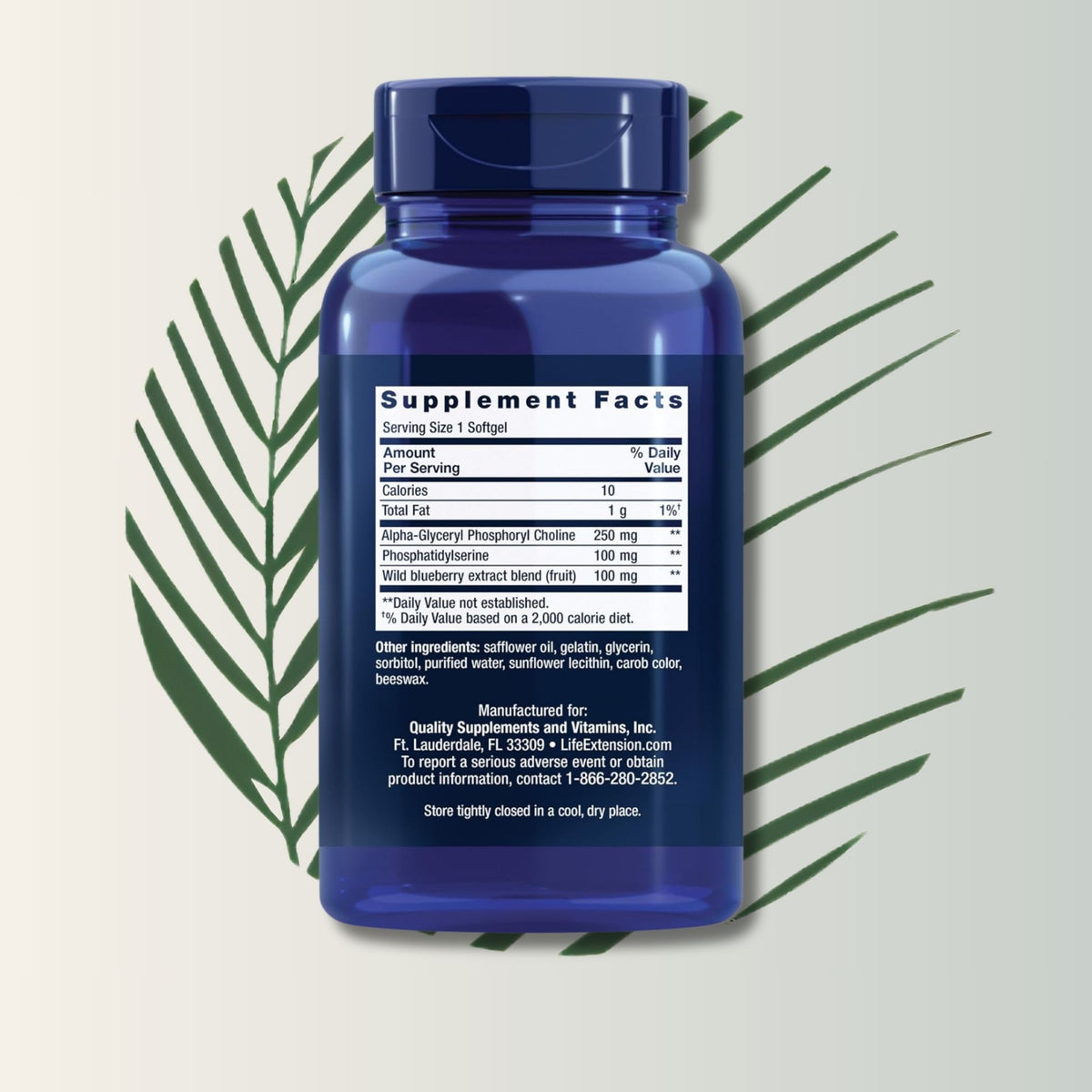 Cognitex Alpha GPC, 30 Softgels | Life Extension