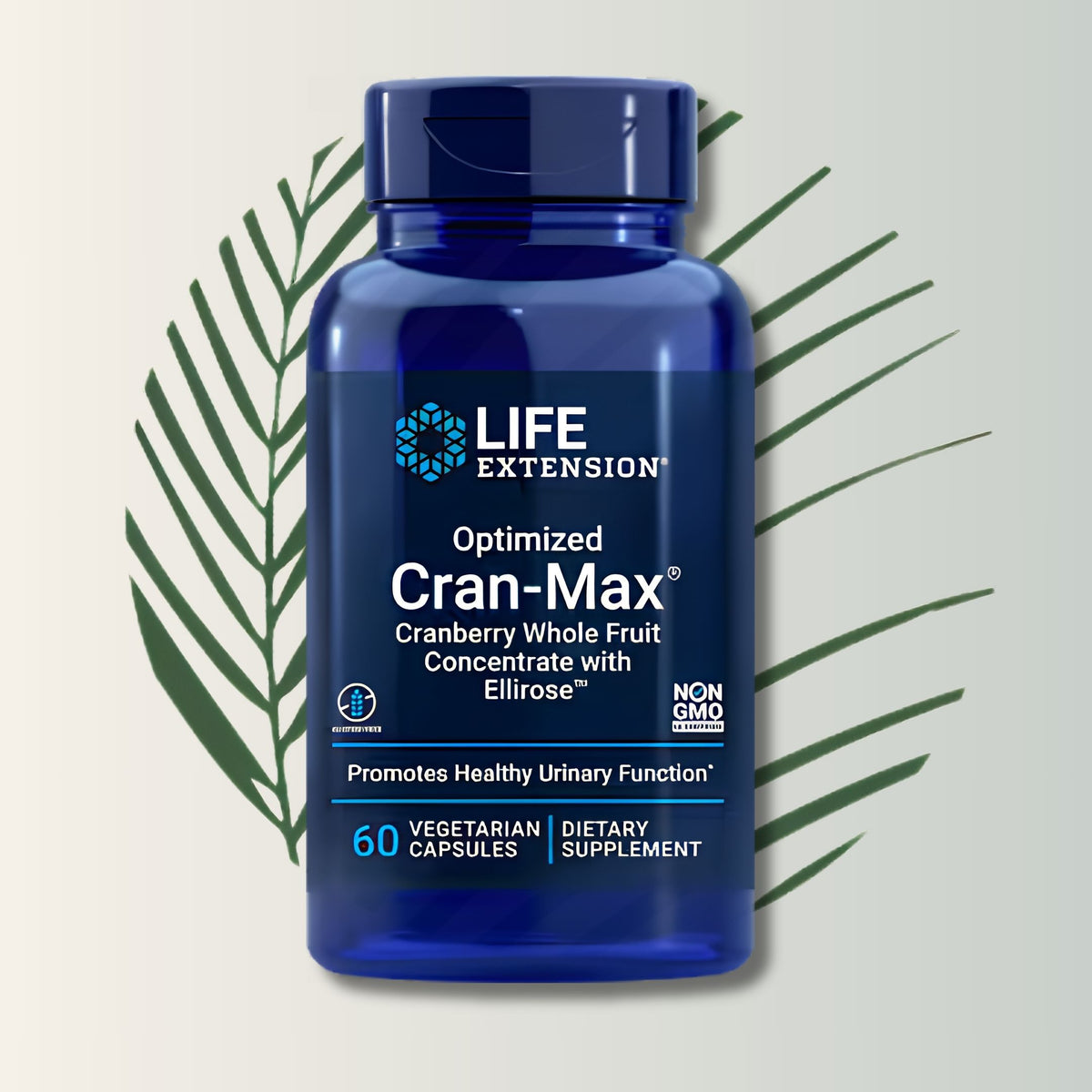 Cran Max Life Extension - 60 Cápsulas | Extracto de Arándano | Salud del Tracto Urinario | bhorganic
