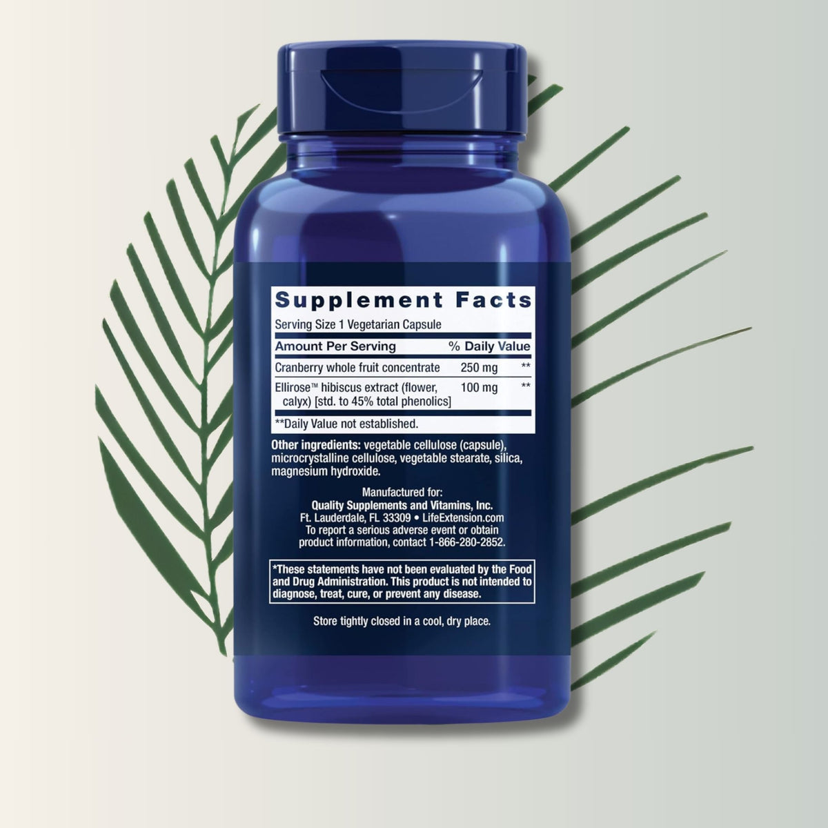 Cran Max Life Extension - 60 Cápsulas | Extracto de Arándano | Salud del Tracto Urinario | bhorganic