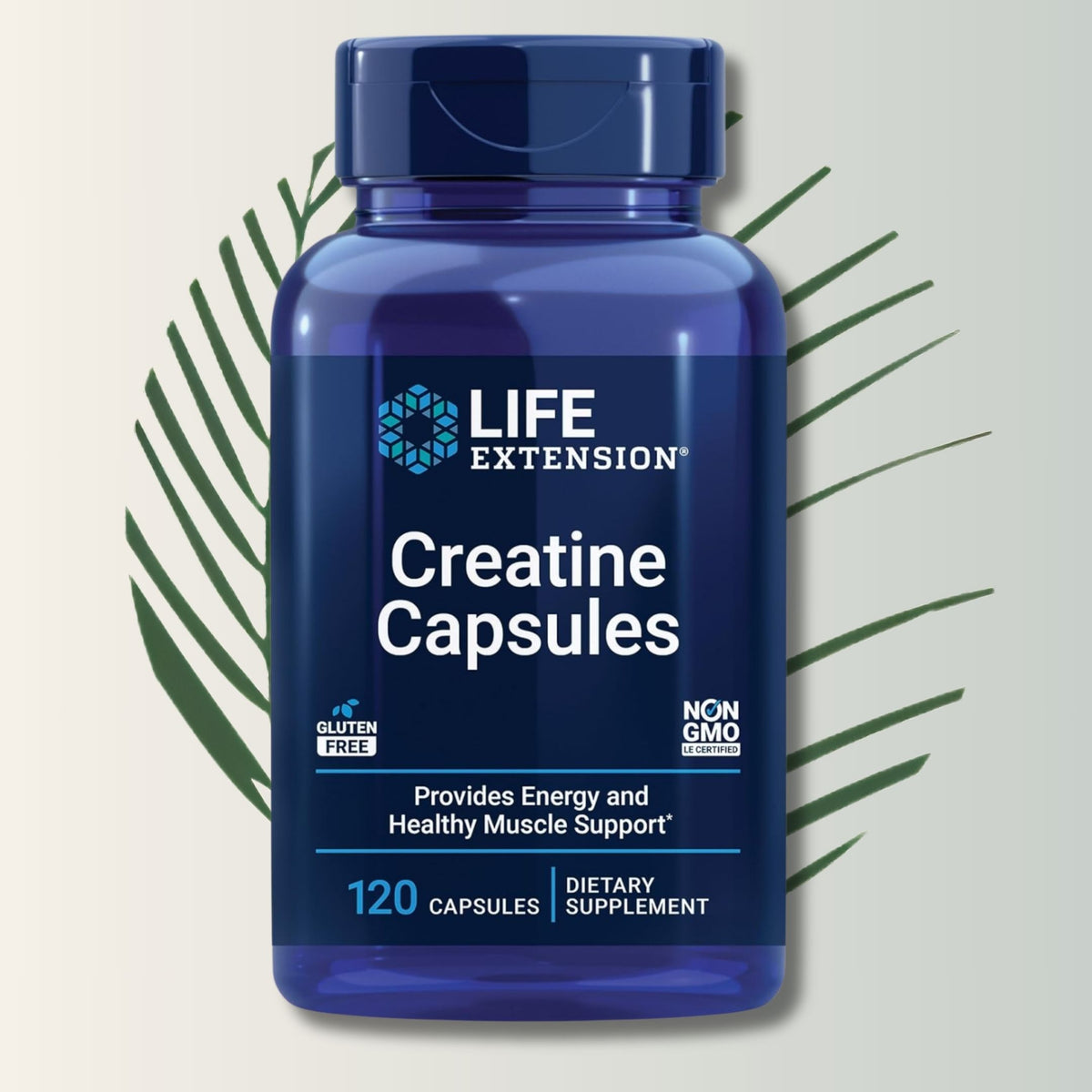 Creatine Capsules Life Extension - 120 Cápsulas | Creatina Monohidrato | Fuerza Muscular | bhorganic