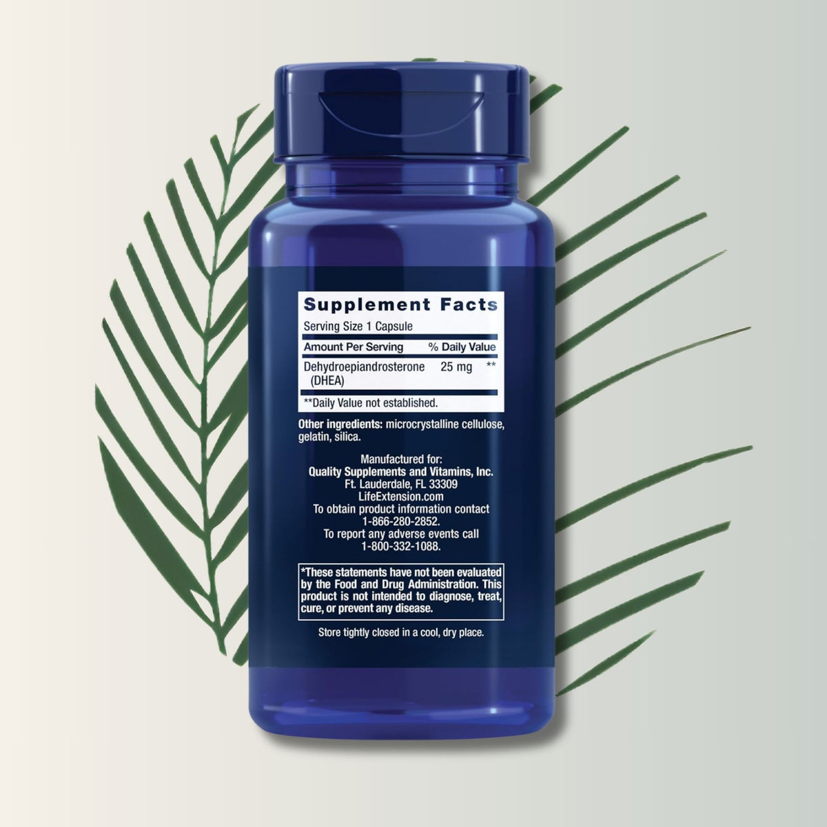 DHEA 25 Mg – Life Extension (100 Cápsulas Vegetarianas)