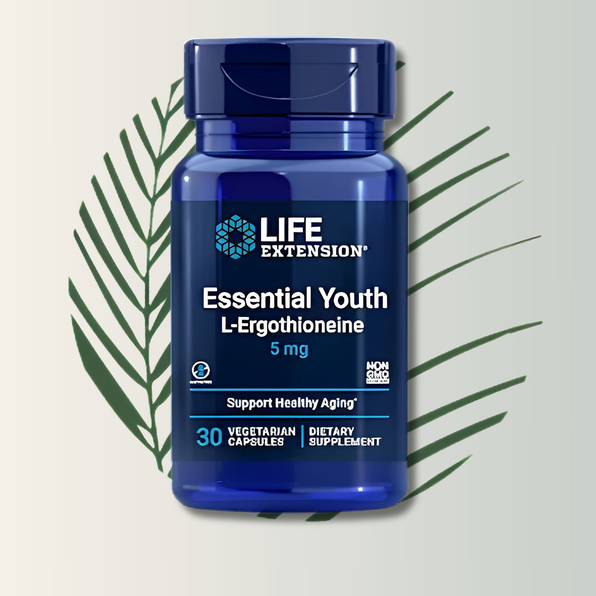 Essential Youth Life Extension - 60 Cápsulas | Vitalidad Celular | Anti-Envejecimiento Natural | bhorganic