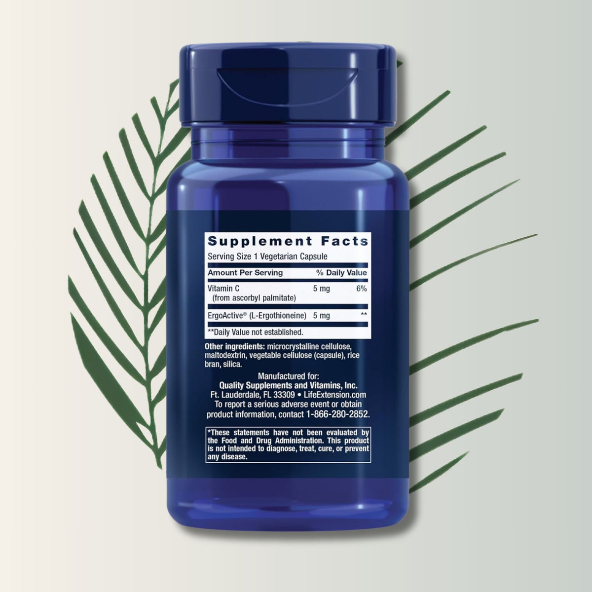 Essential Youth Life Extension - 60 Cápsulas | Vitalidad Celular | Anti-Envejecimiento Natural | bhorganic