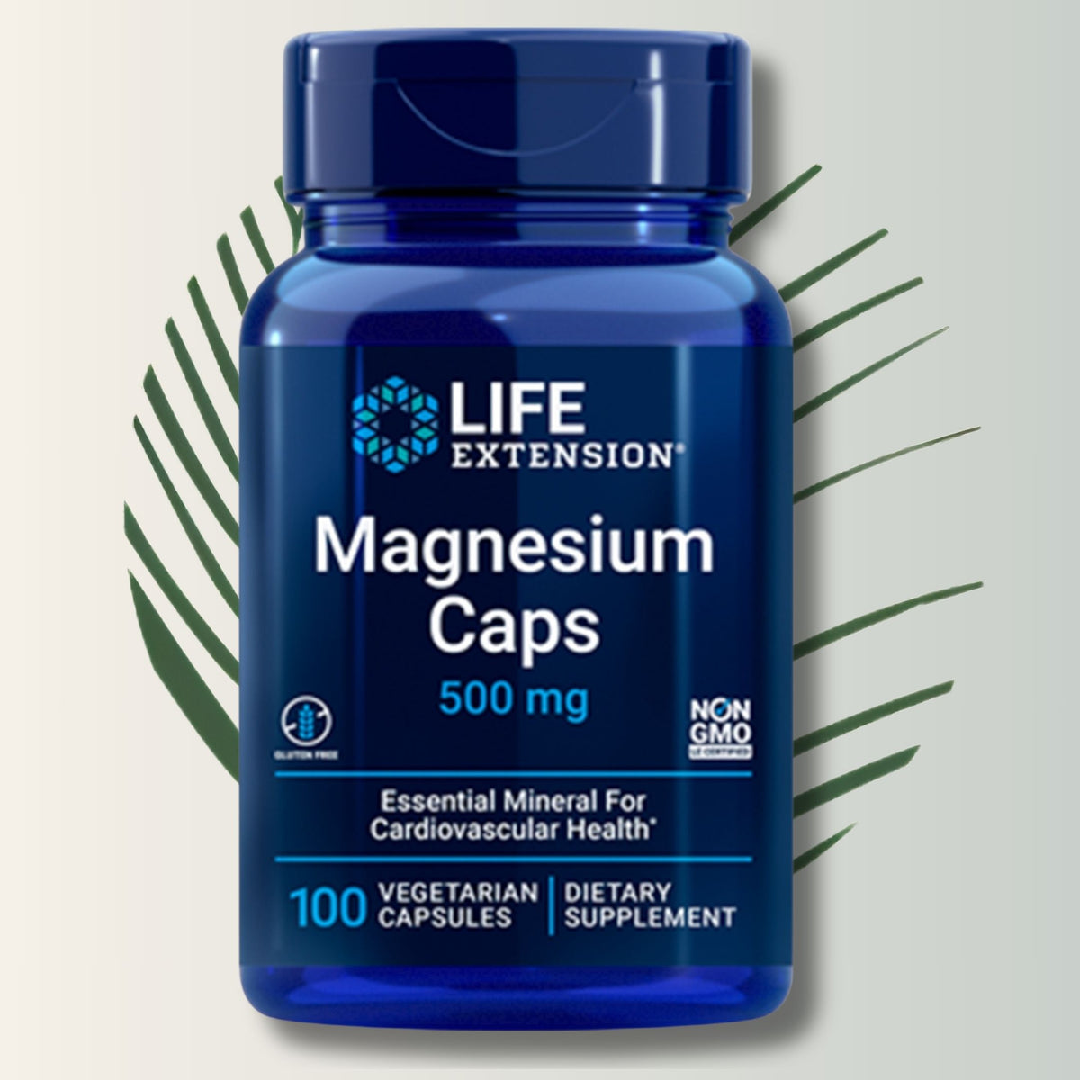 Magnesio Caps 500 Mg – Life Extension (100 Cápsulas)