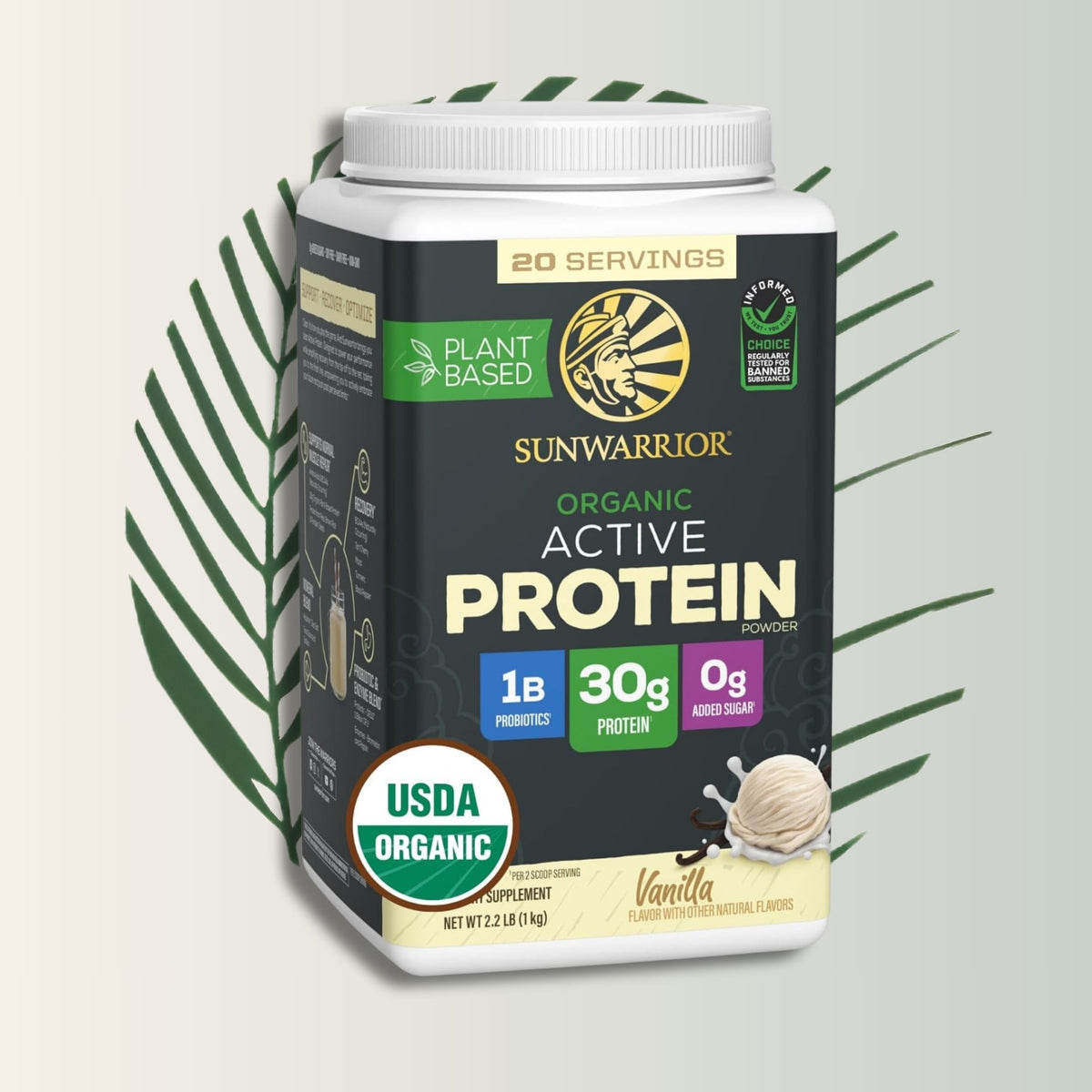 Sunwarrior Sport Active - Proteína Vegetal para Deportistas | bhorganic