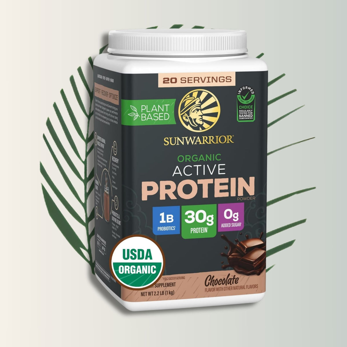 Sunwarrior Sport Active - Proteína Vegetal para Deportistas | bhorganic