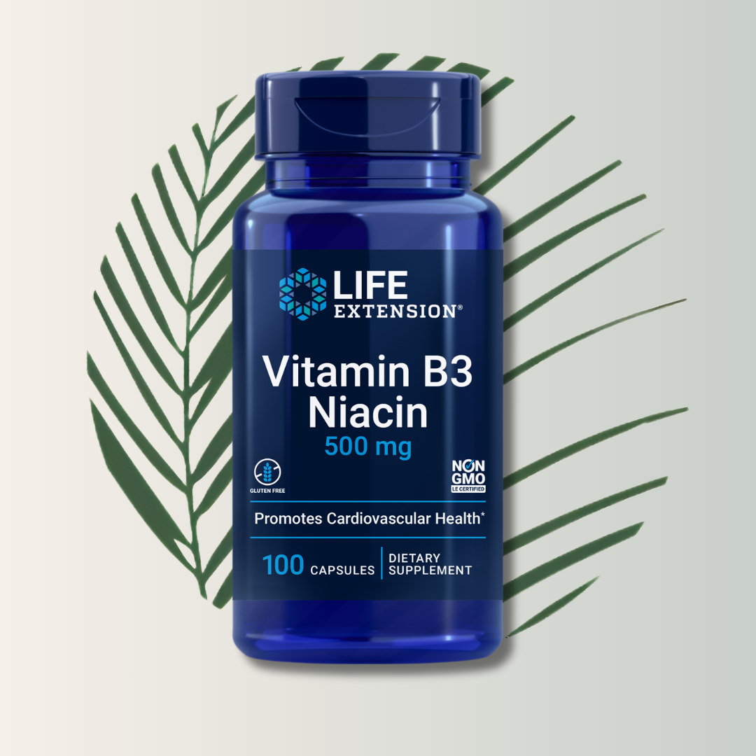 VITAMIN B3 NIACIN 500MG LIFE EXTENSION
