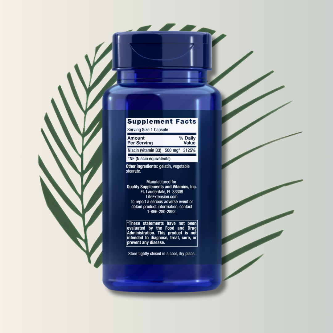 VITAMIN B3 NIACIN 500MG LIFE EXTENSION